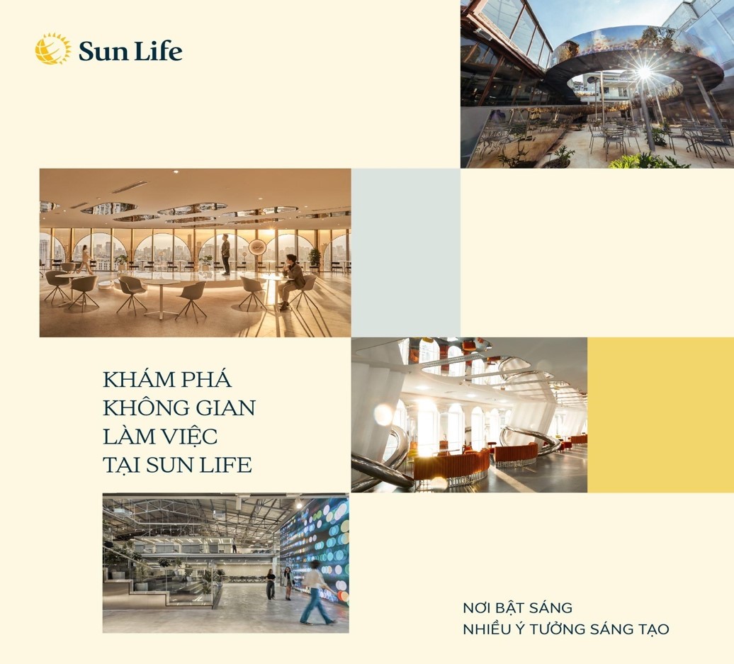 lĩnh vực hoạt động